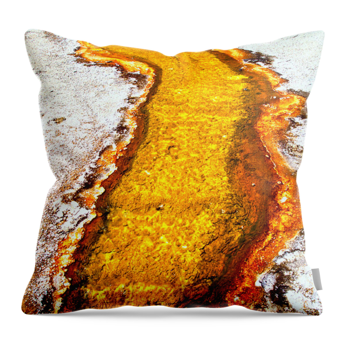 Yellowstone Throw Pillow featuring the photograph Yellowstone Stream by Adam Jewell