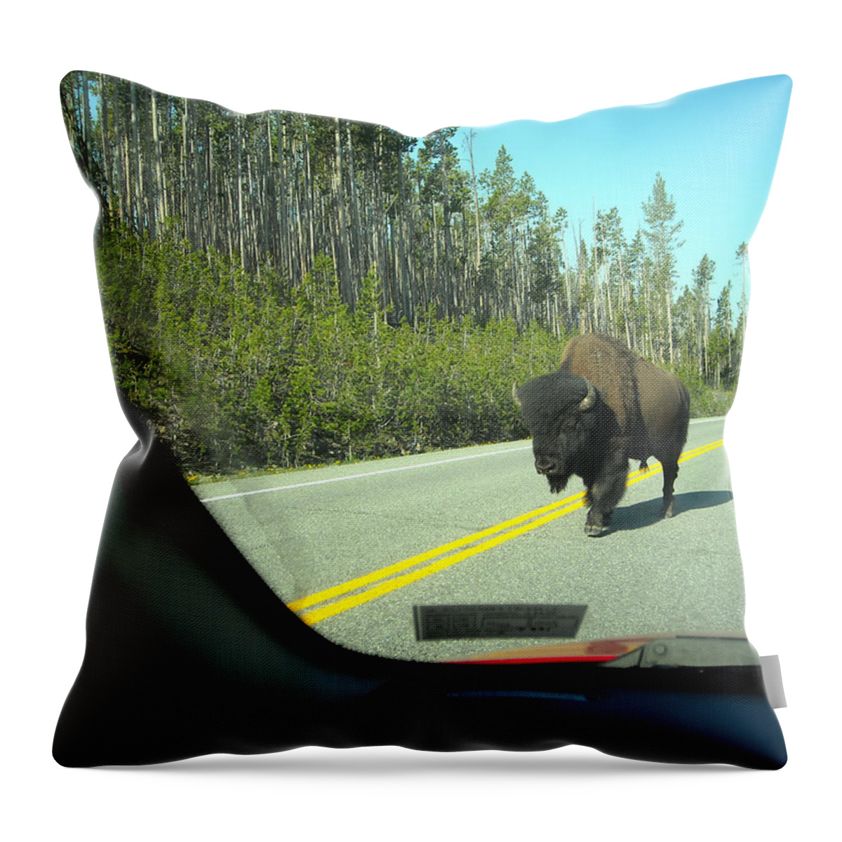 Bison Throw Pillow featuring the photograph Yellowstone Traffic can be Dangerous by George Jones