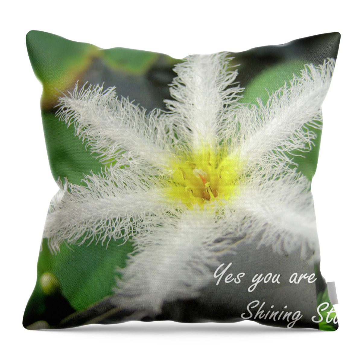 Flower Throw Pillow featuring the photograph Yes you are a pure shining star by Heidi Sieber