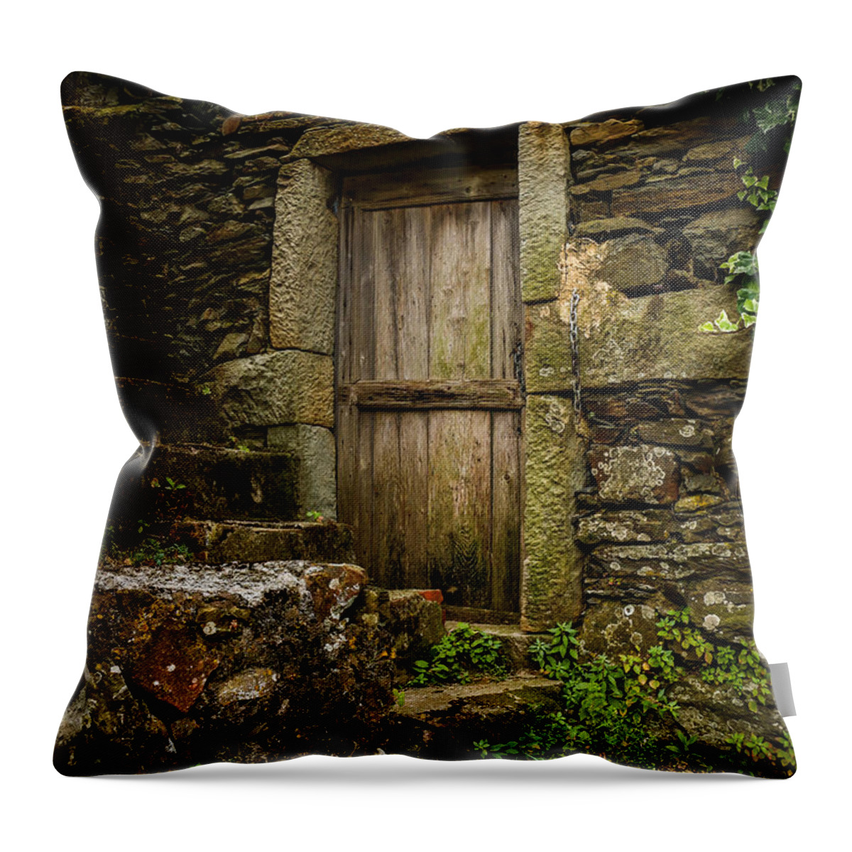 Wooden Door Throw Pillow featuring the photograph Yesterday's Garden Door by Kathleen Scanlan