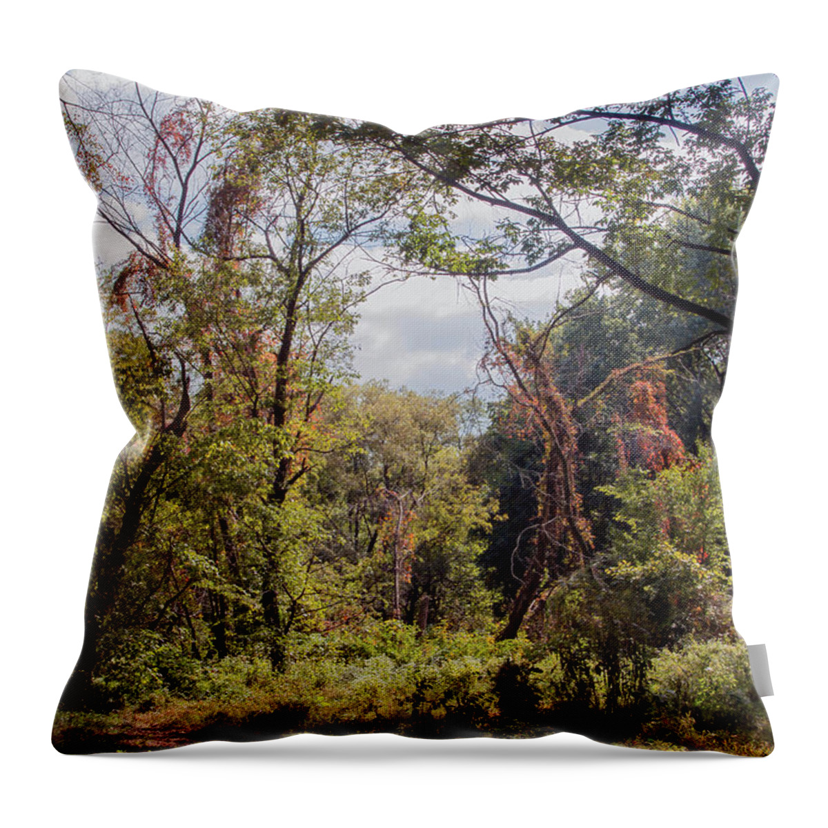 Landscape Throw Pillow featuring the photograph Yesterdays by John Rivera