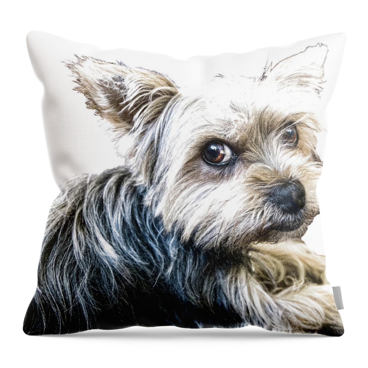 Dog Throw Pillow featuring the drawing Yorkshire Terrier - DWP2785087 by Dean Wittle