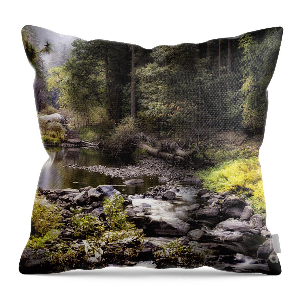  Sierras Throw Pillow featuring the photograph Yosemite Stream 2 by Timothy Hacker