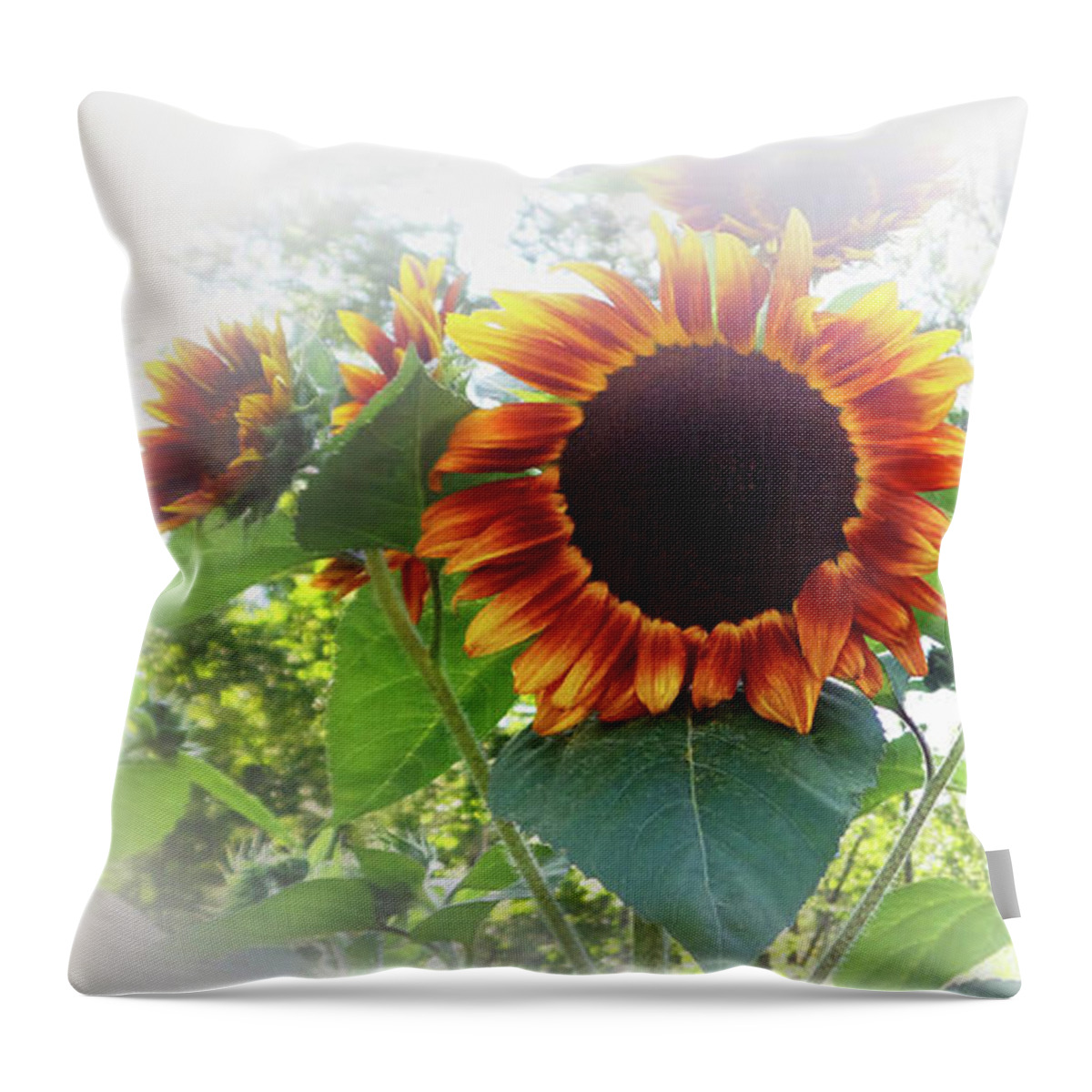 You Are My Sunshine Throw Pillow featuring the photograph You Are My Sunshine by Mike Breau