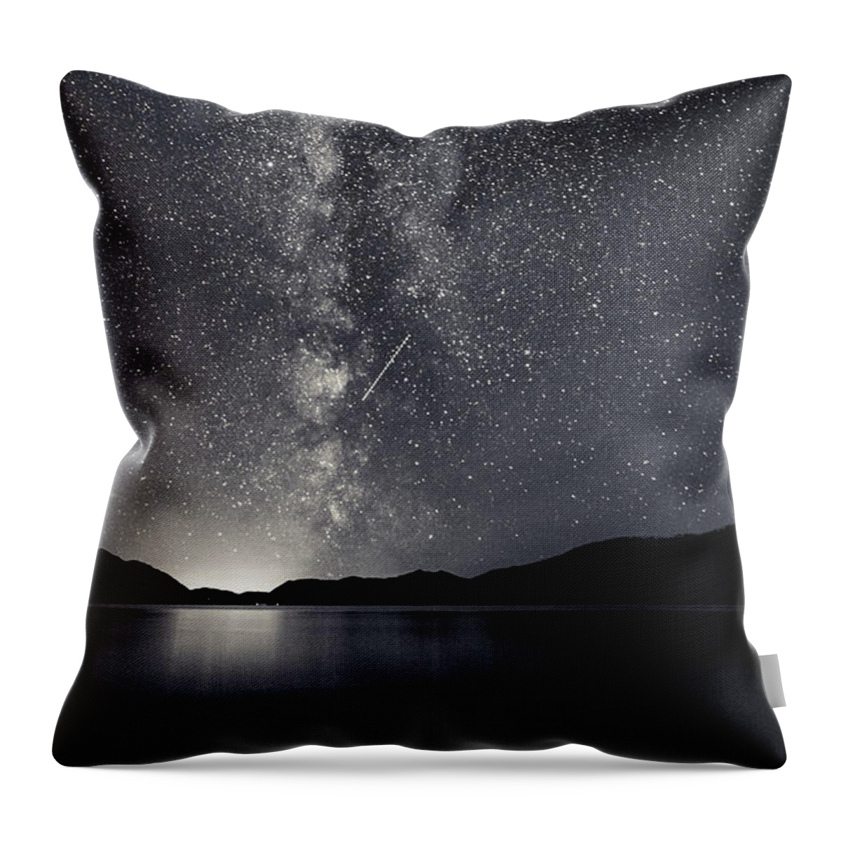 North Throw Pillow featuring the photograph You Know that You Are by Alex Lapidus