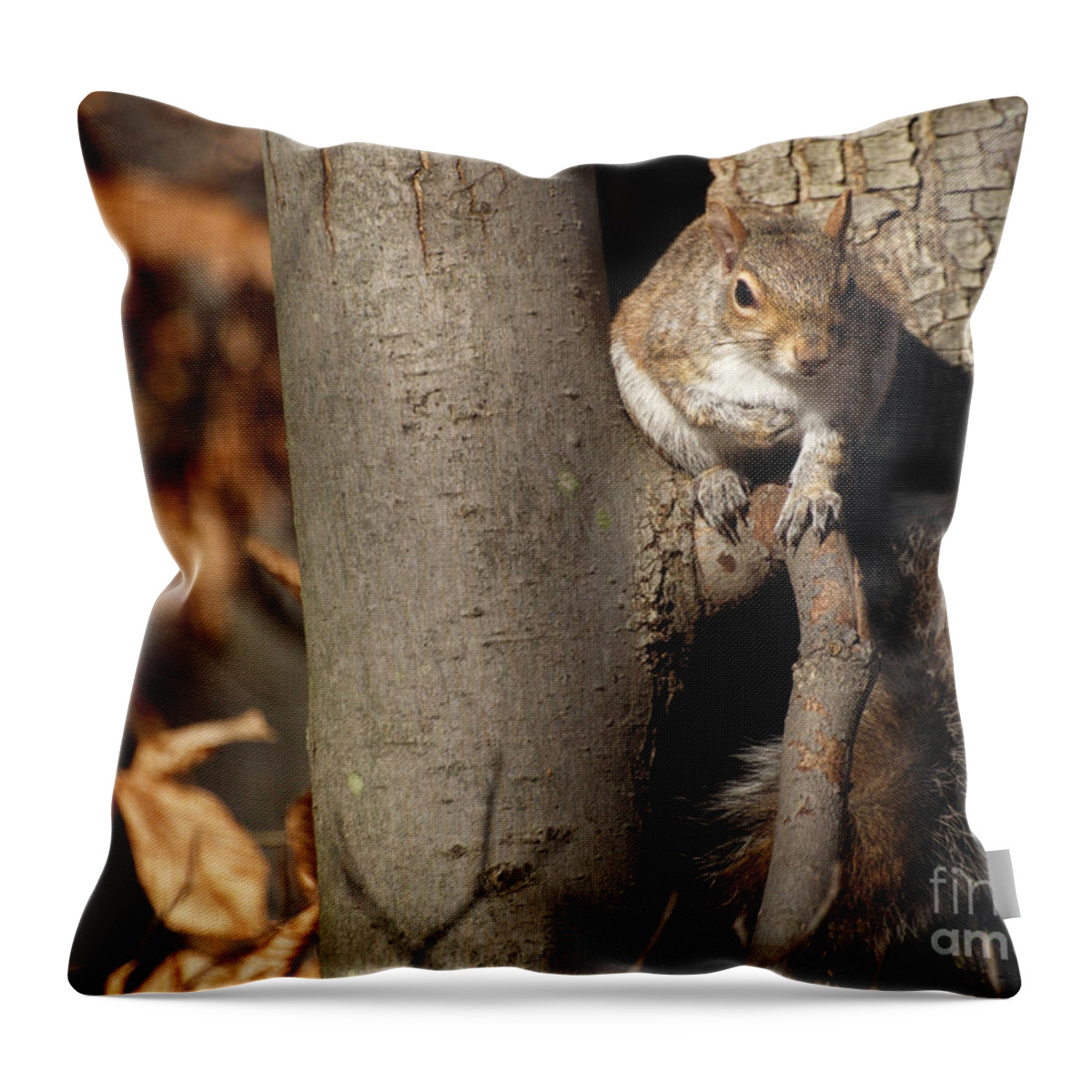 Nature Throw Pillow featuring the photograph You Putting Out The Seeds Today Or What by Dorothy Lee