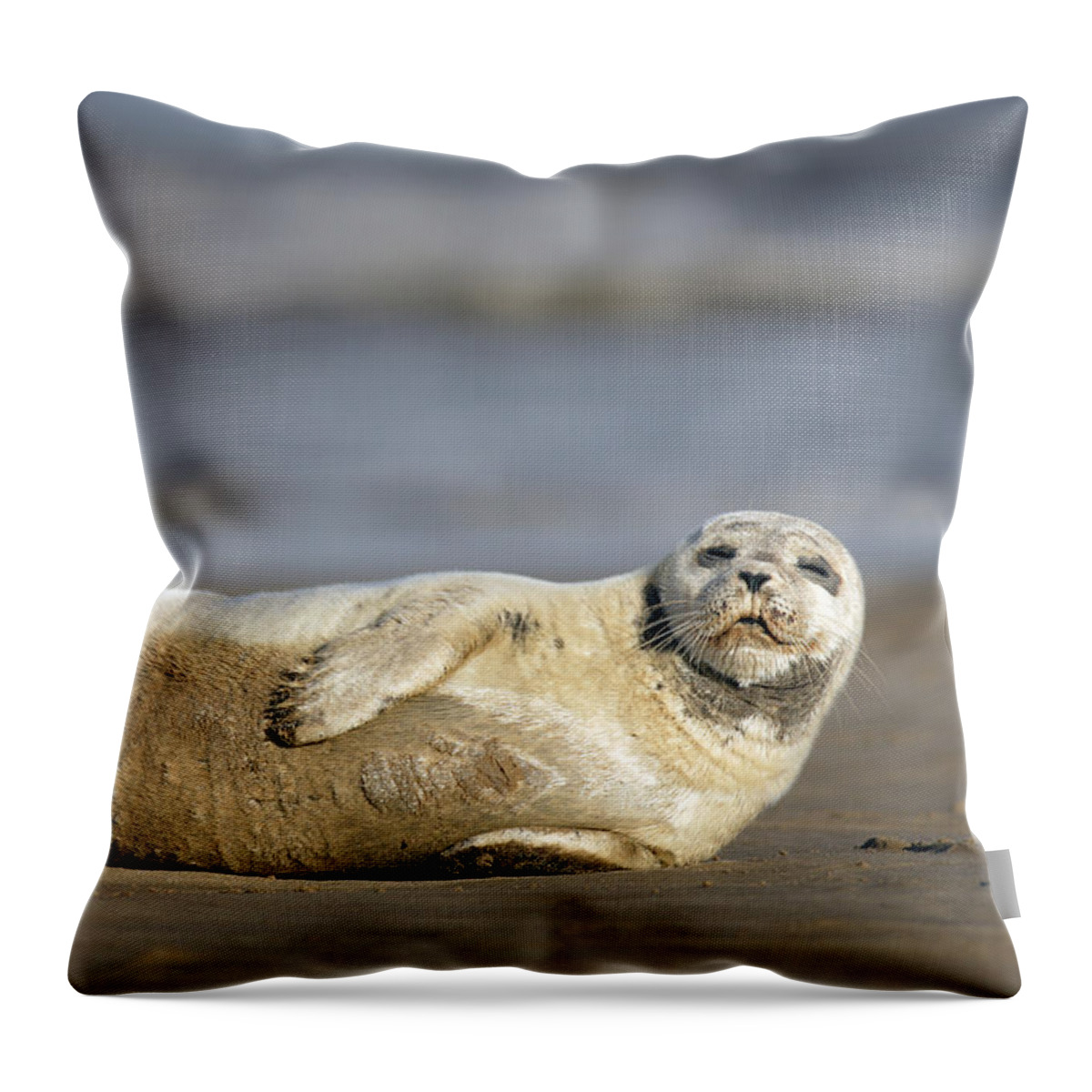Common Seal Throw Pillow featuring the photograph Young Common Seal sleeping on the beach by Tony Mills