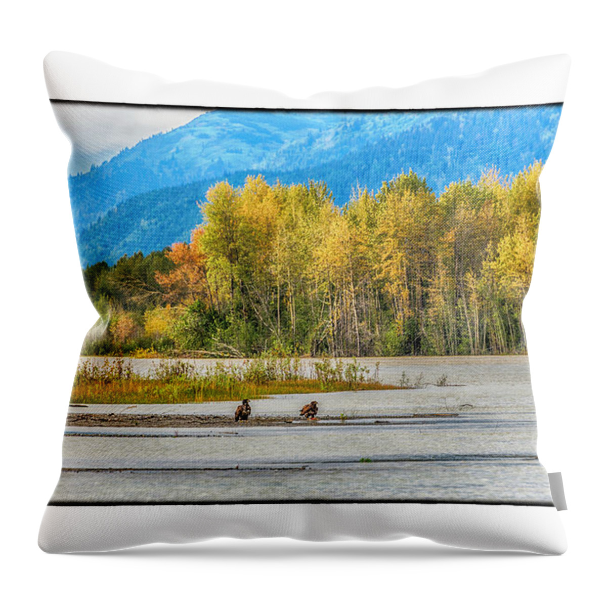 Eagles Throw Pillow featuring the photograph Young Eagles by R Thomas Berner