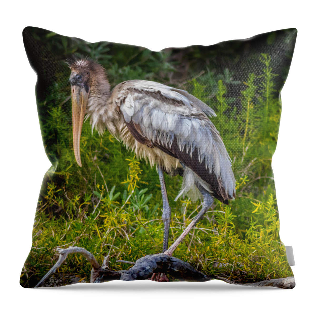 Birds Throw Pillow featuring the photograph Young Wood Stork by George Kenhan