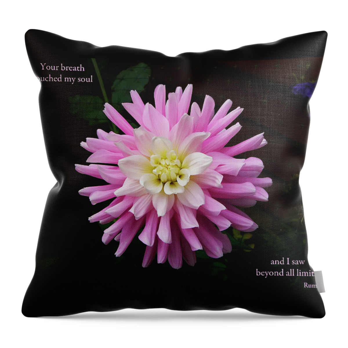 Photograph Throw Pillow featuring the photograph Your Breath Touched my Soul by Rhonda McDougall
