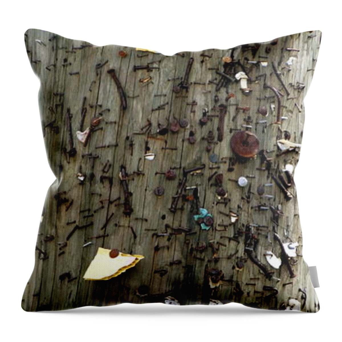 Vertical Photo Throw Pillow featuring the photograph Nailed it by Valerie Collins