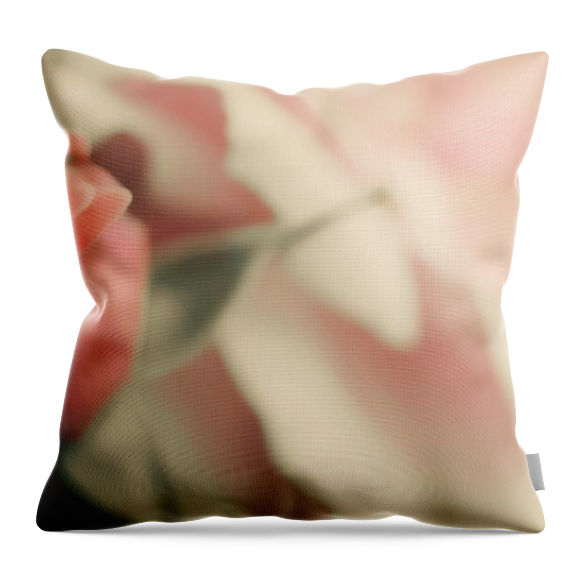 Rose Throw Pillow featuring the photograph Youthful Sweet Rose by The Art Of Marilyn Ridoutt-Greene