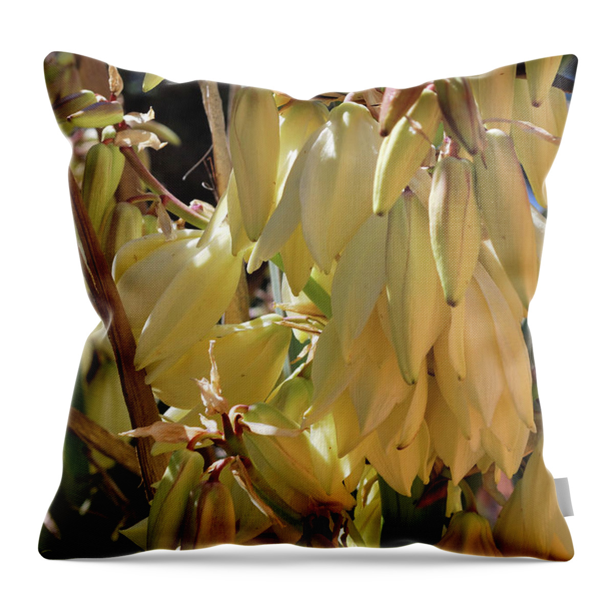 Nature Throw Pillow featuring the photograph Yucca Bloom II by Ron Cline