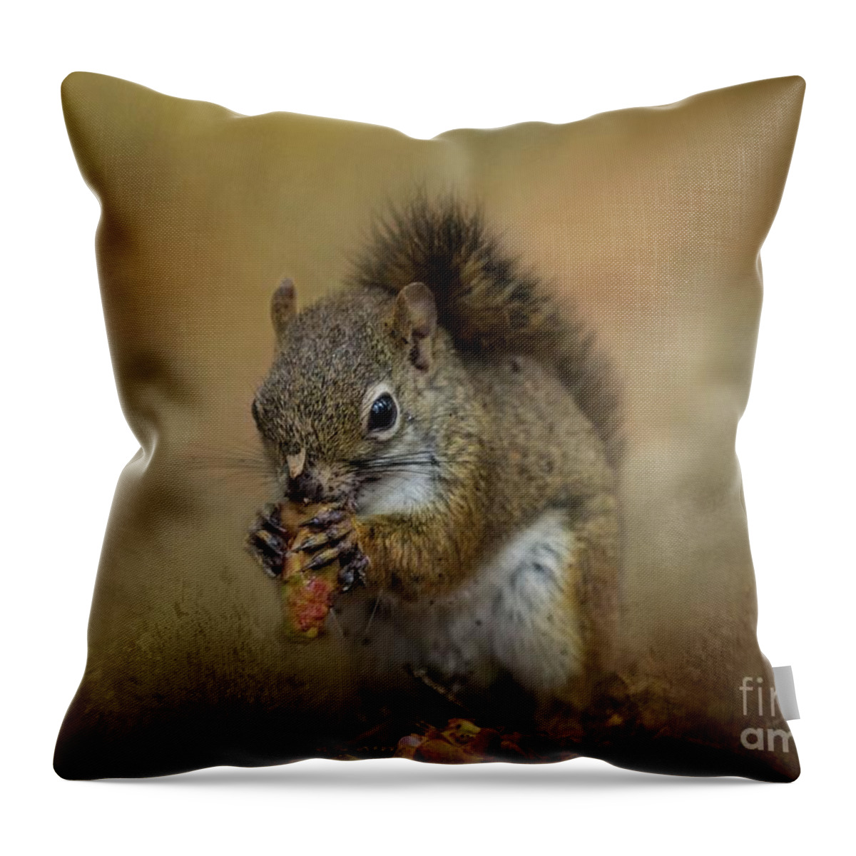 Red Squirrel Throw Pillow featuring the photograph Yum Yum by Eva Lechner