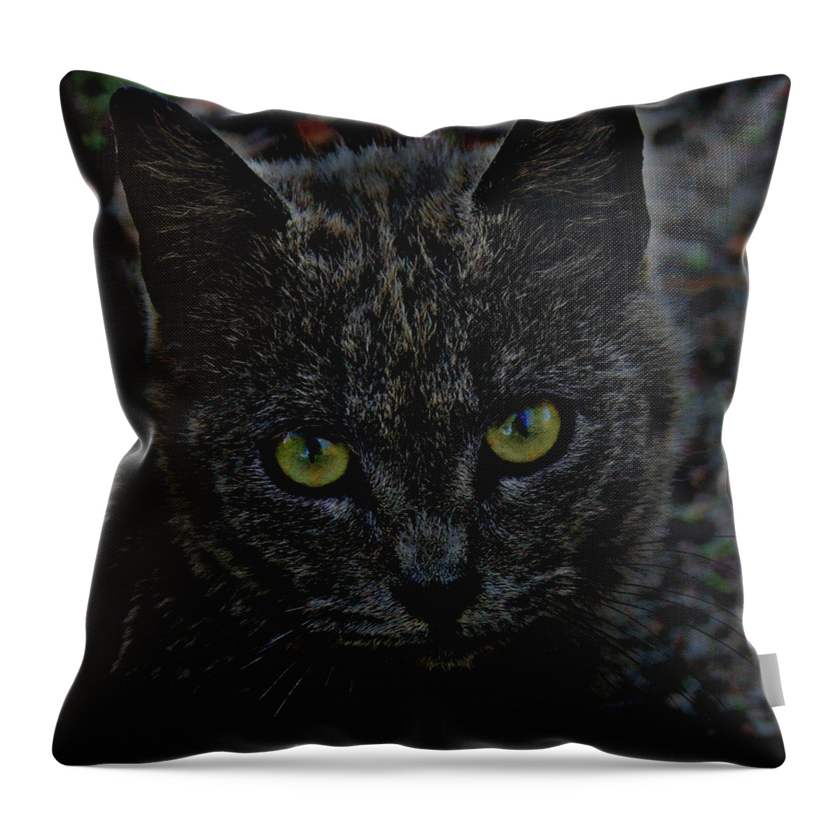 Cat Throw Pillow featuring the digital art Zanzabar the cat by Cathy Harper