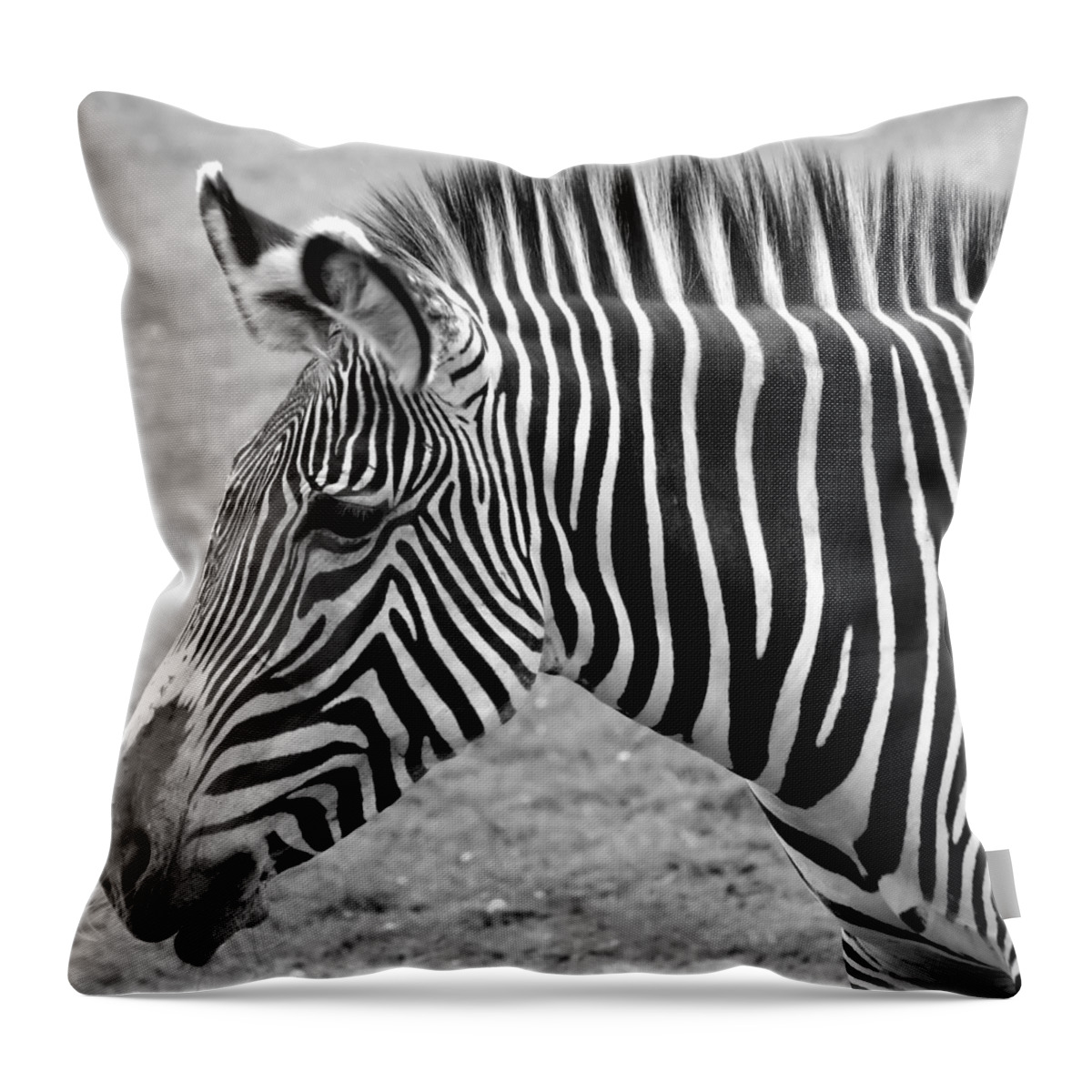 Zebra Throw Pillow featuring the photograph Zebra - Here it is in Black and White by Gordon Dean II