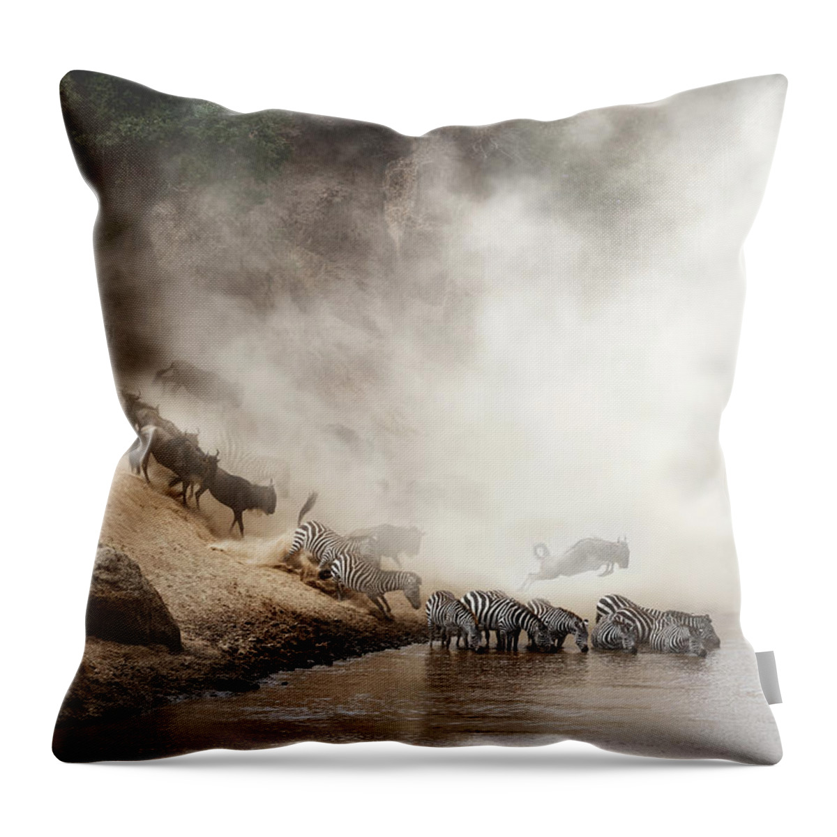 Wildlife Throw Pillow featuring the photograph Zebra and Wildebeest Migration in Africa by Good Focused