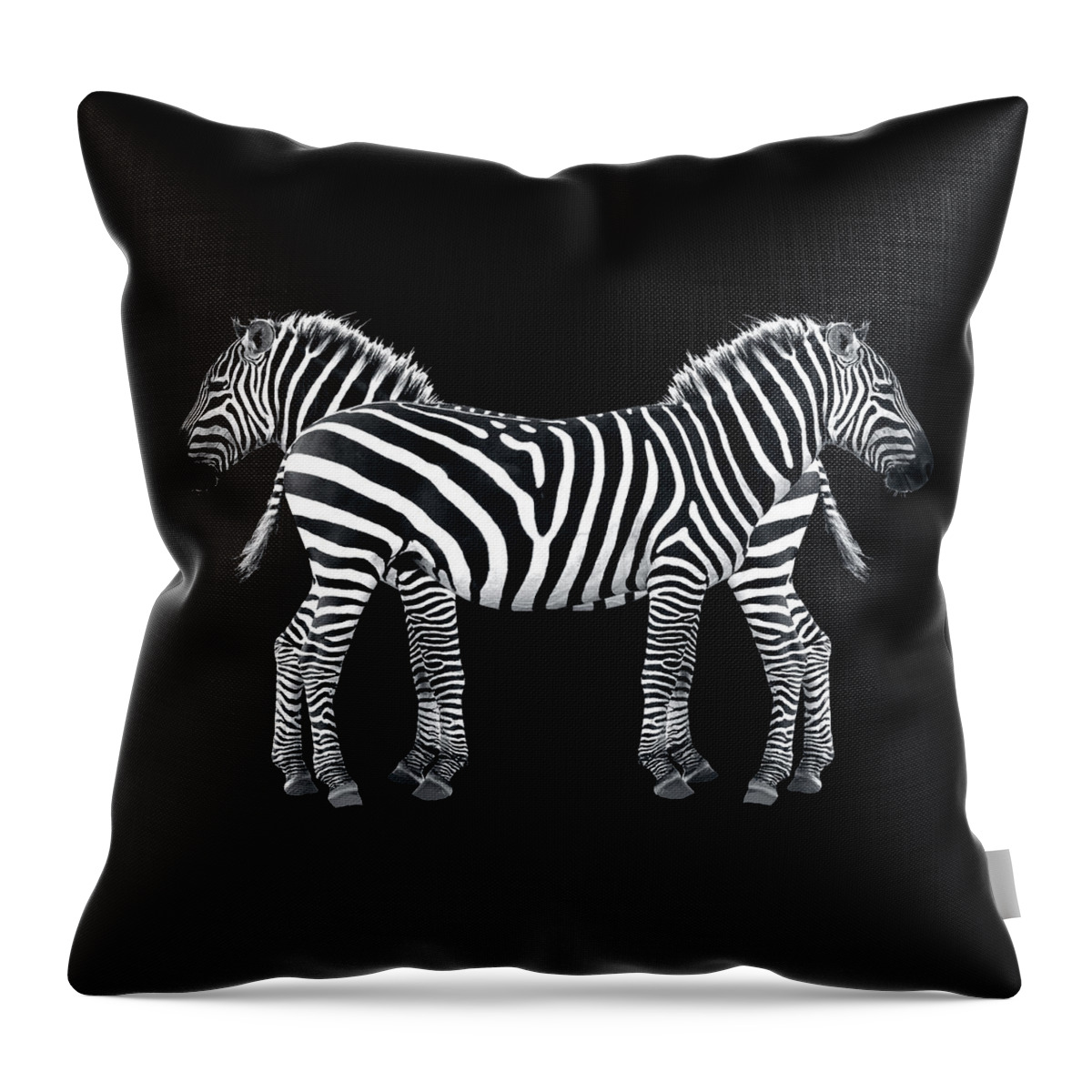 Africa Throw Pillow featuring the photograph Zebra Pair On Black by Gill Billington