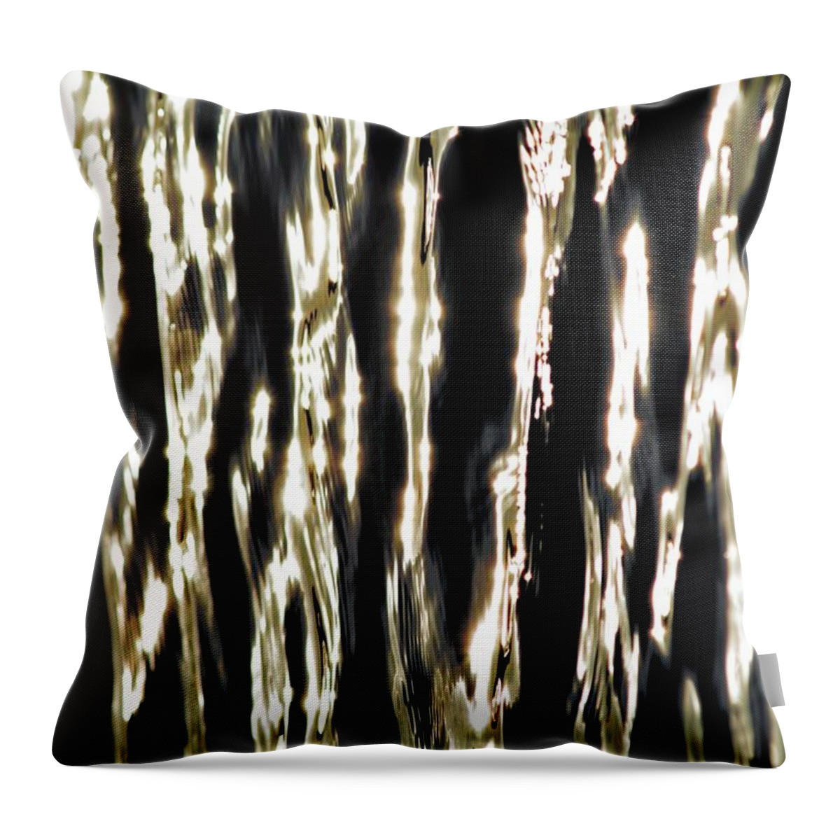 Water Throw Pillow featuring the photograph Zebra Water by Bonfire Photography