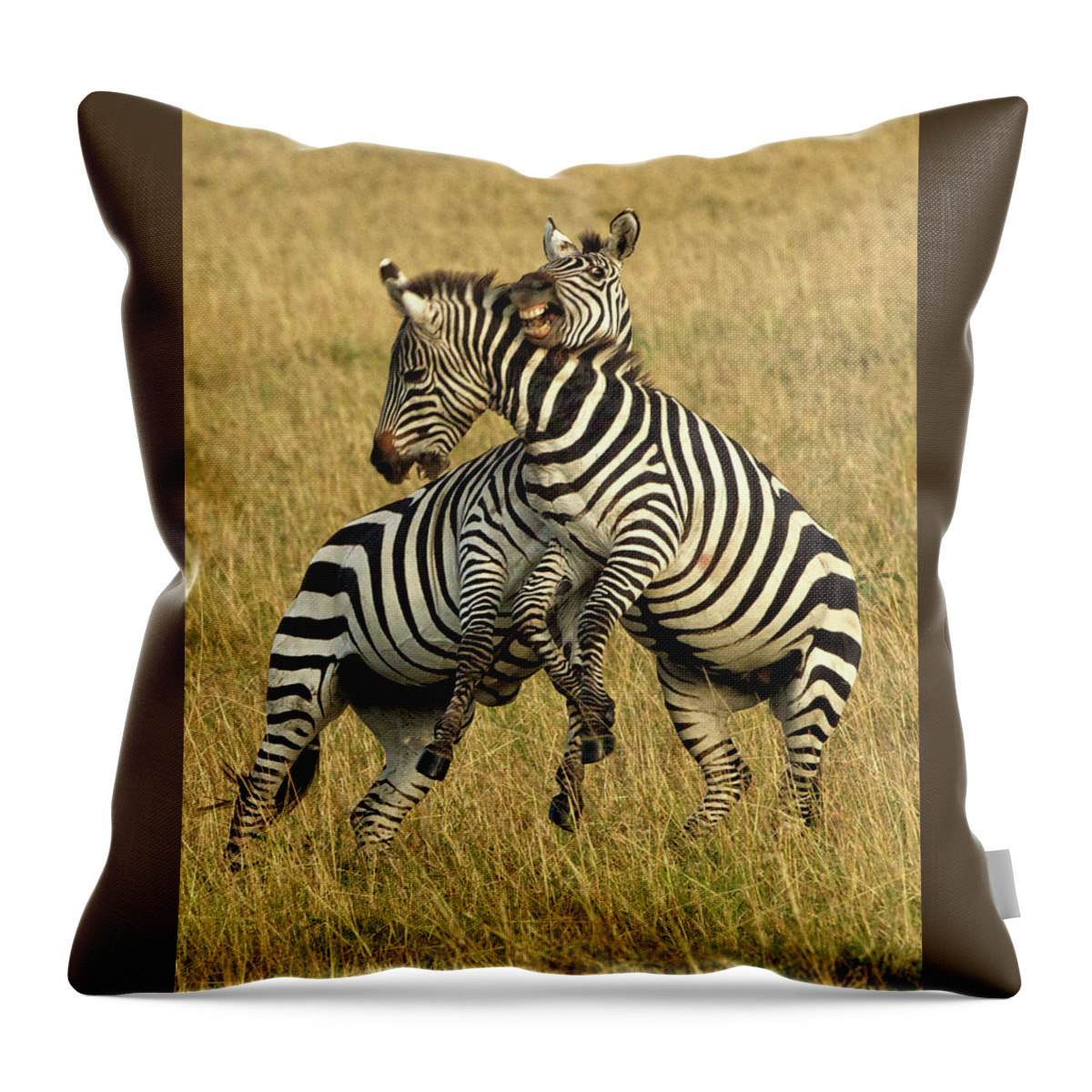 Zebras Throw Pillow featuring the photograph Zebras Battling by Steven Upton