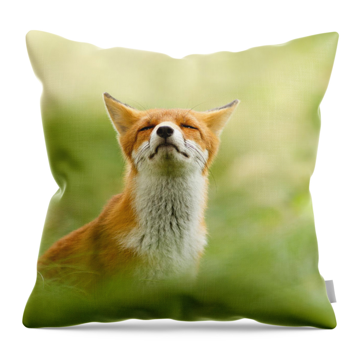 Red Fox Throw Pillow featuring the photograph Zen Fox Series - Zen Fox Does it Agian by Roeselien Raimond