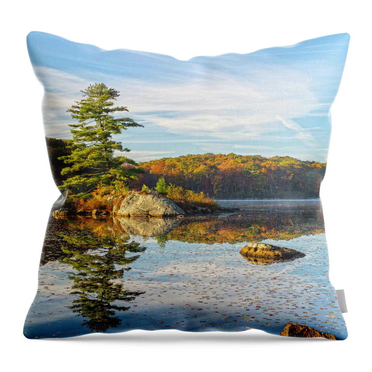 Dawn Throw Pillow featuring the photograph Zen Morning At Little Long Pond Vertical Cropped by Angelo Marcialis