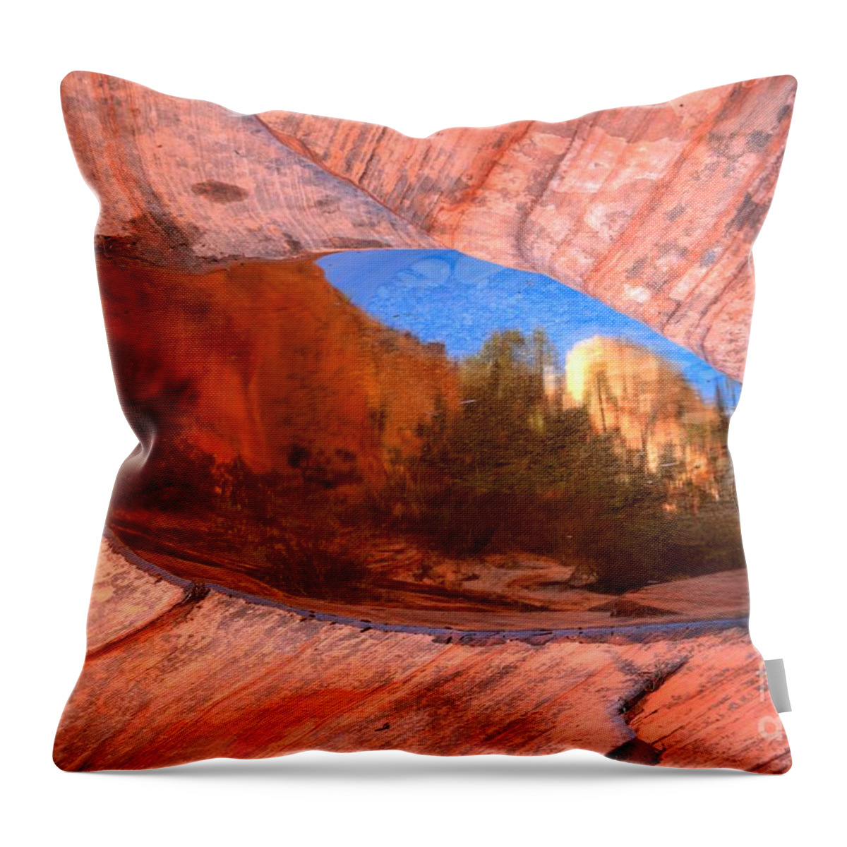 Zion East Throw Pillow featuring the photograph Zion East Pool Reflections by Adam Jewell