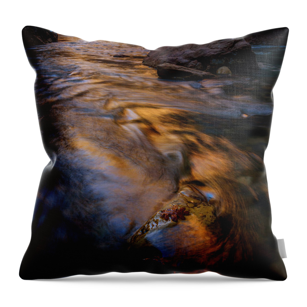 Zion Throw Pillow featuring the photograph Zion Gold by Dustin LeFevre