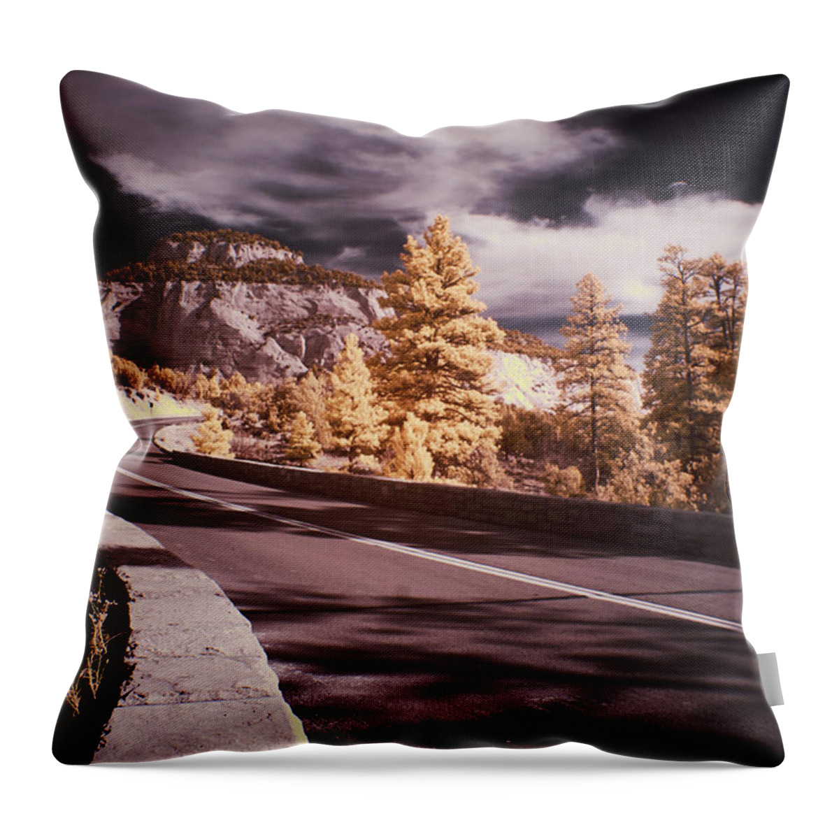 Zion Throw Pillow featuring the photograph Zion by Jim Cook