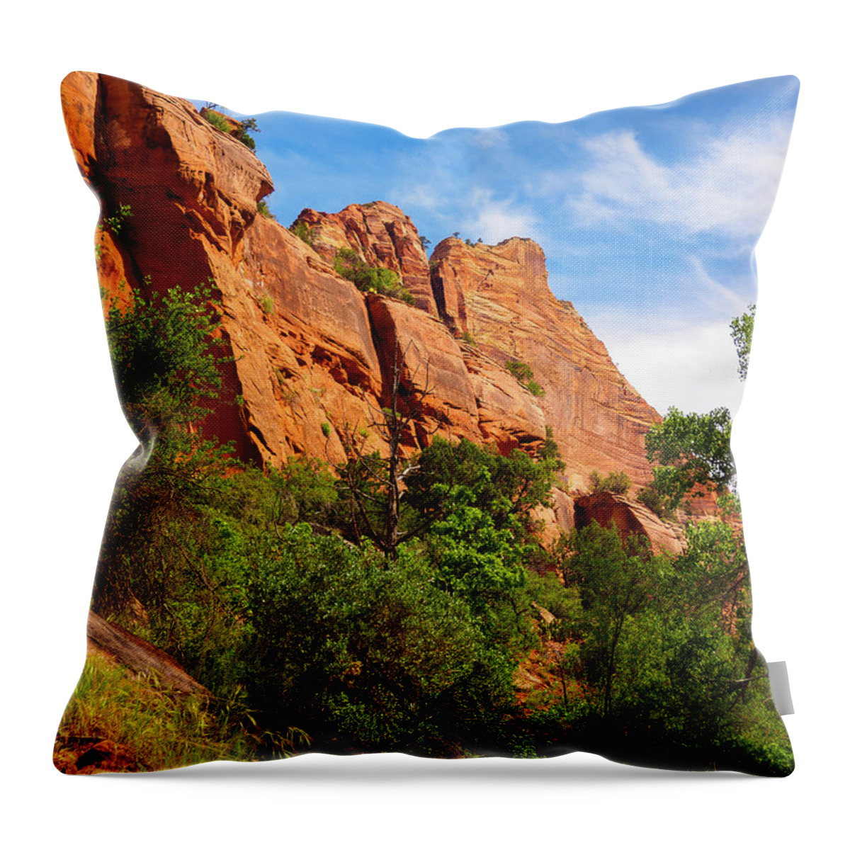 Blue Throw Pillow featuring the photograph Zion National Park 1 by Penny Lisowski