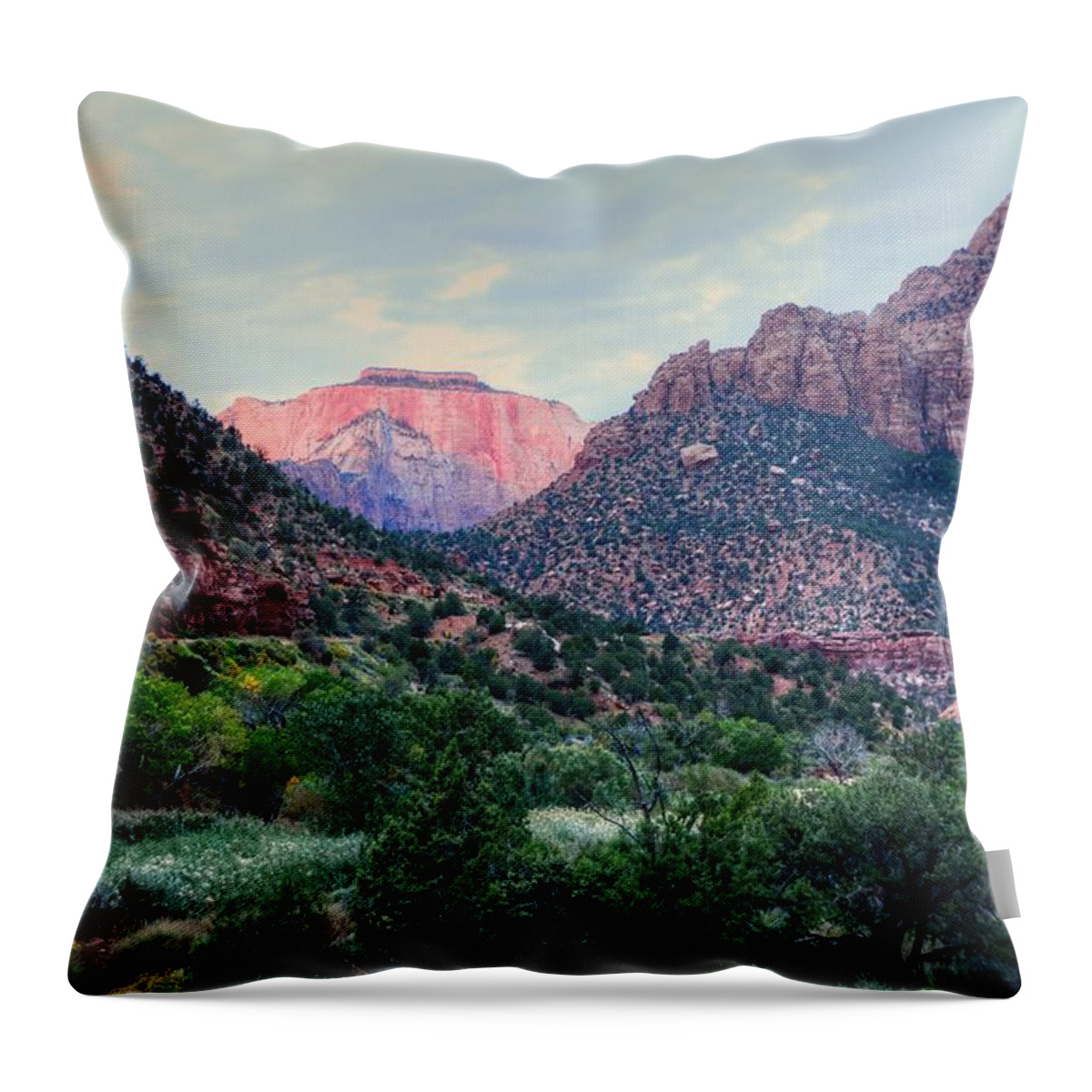 Zion National Park Throw Pillow featuring the photograph Zion National Park by Charlotte Schafer