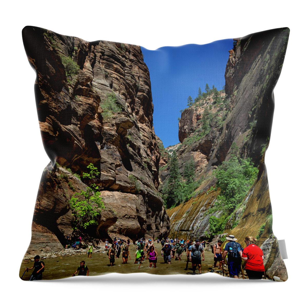 Zion Throw Pillow featuring the photograph Zion National Park II by Ricky Barnard