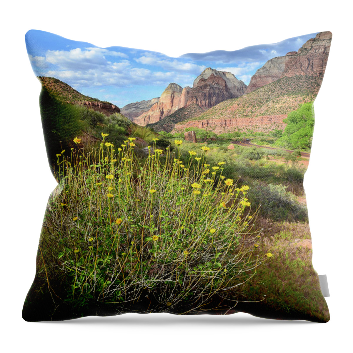 Zion National Park Throw Pillow featuring the photograph Zion Wildflowers by Ray Mathis