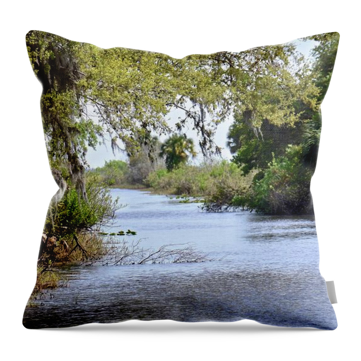 Canal Throw Pillow featuring the photograph Zipperer Canal by Carol Bradley