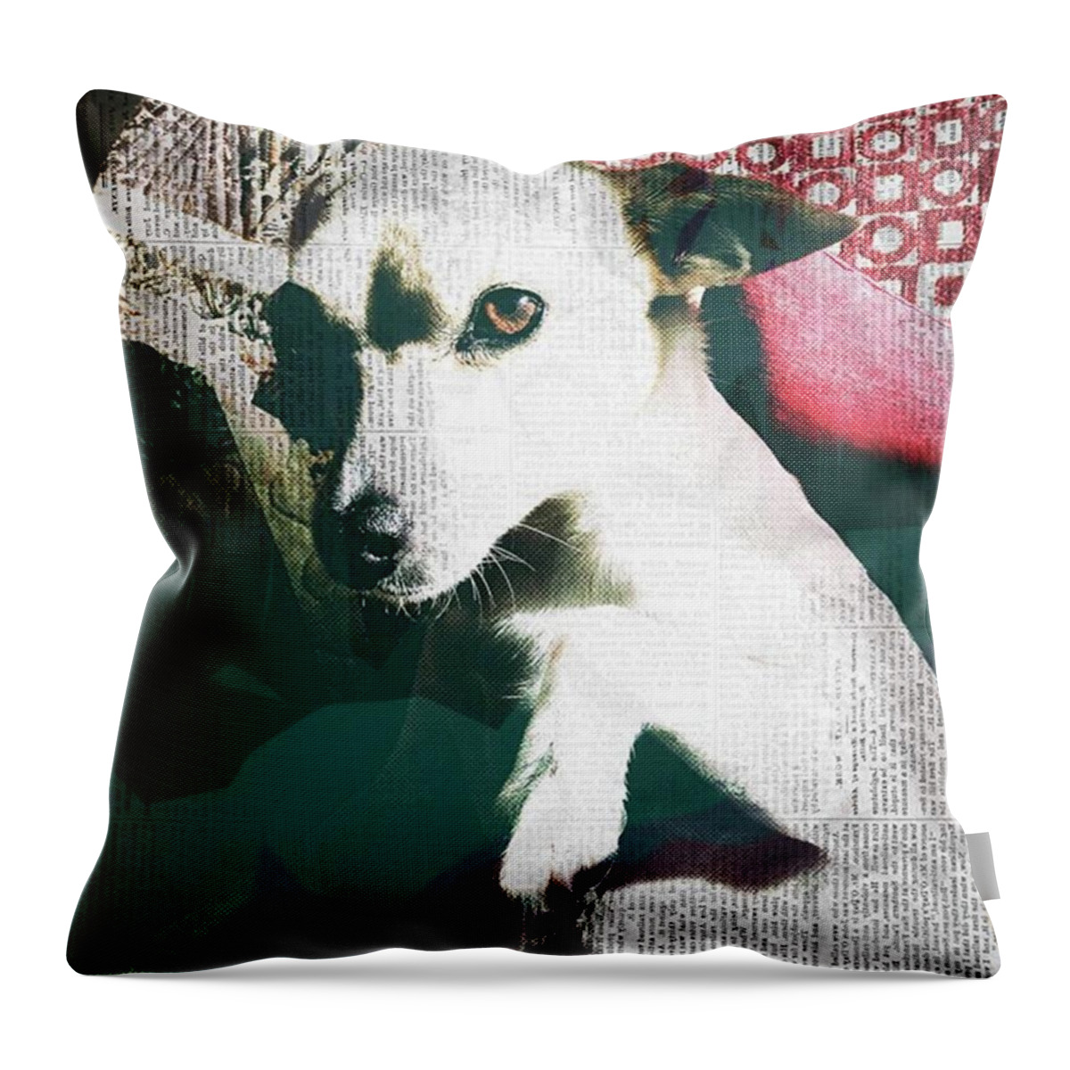 Dogsofinsta Throw Pillow featuring the photograph Zoe. #kreuzberg #johannes #strausberg by Ginger Oppenheimer