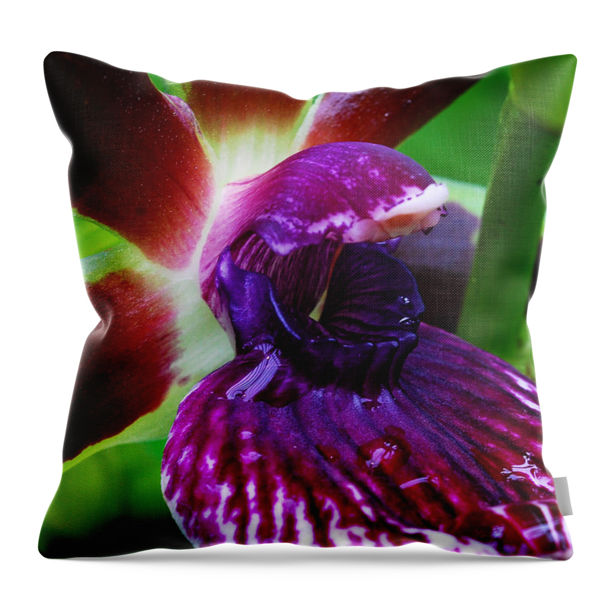 Orchid Throw Pillow featuring the photograph Zygolum Orchid Detail by Nancy Mueller
