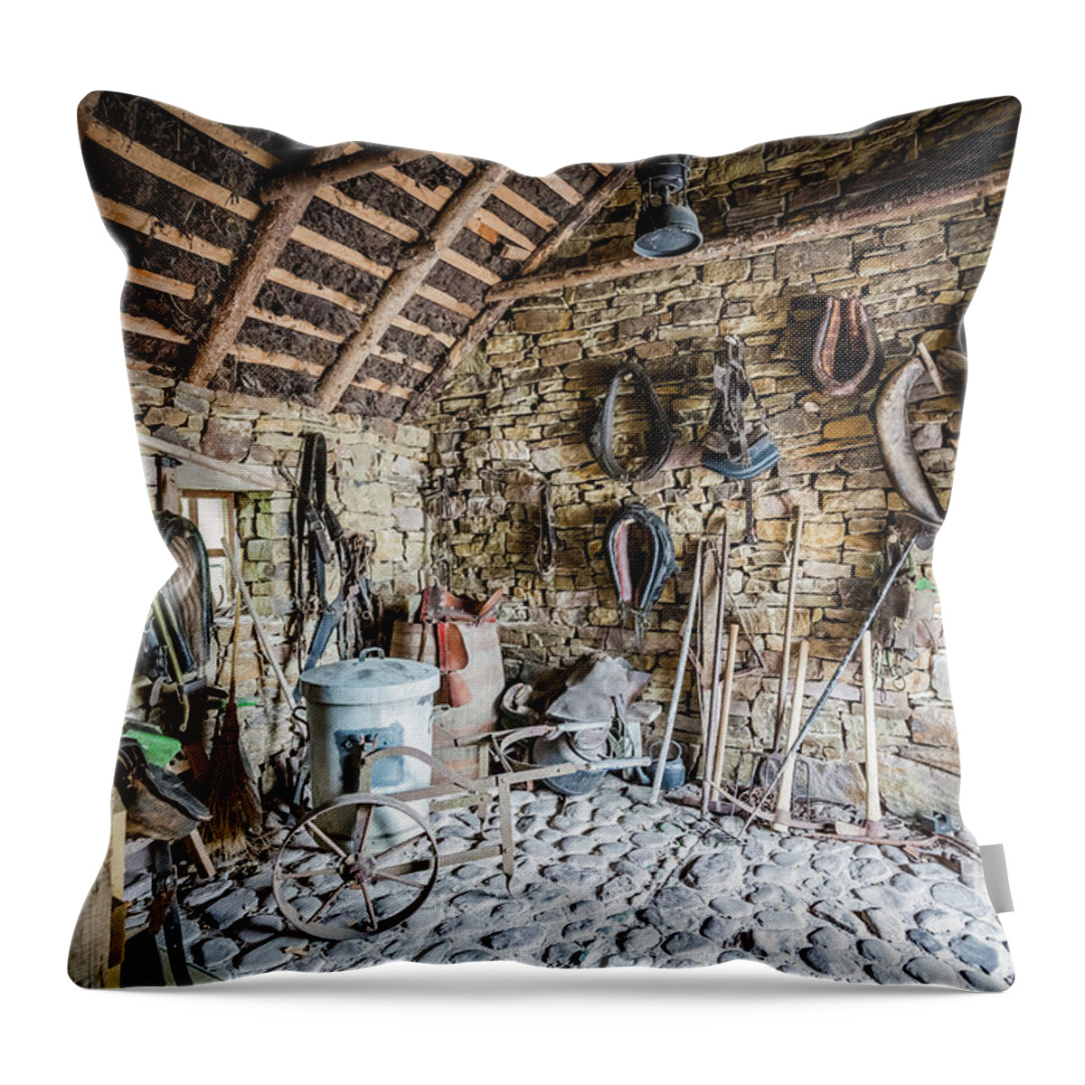 Vintage Throw Pillow featuring the photograph A Step Back in Time #2 by Eva Lechner