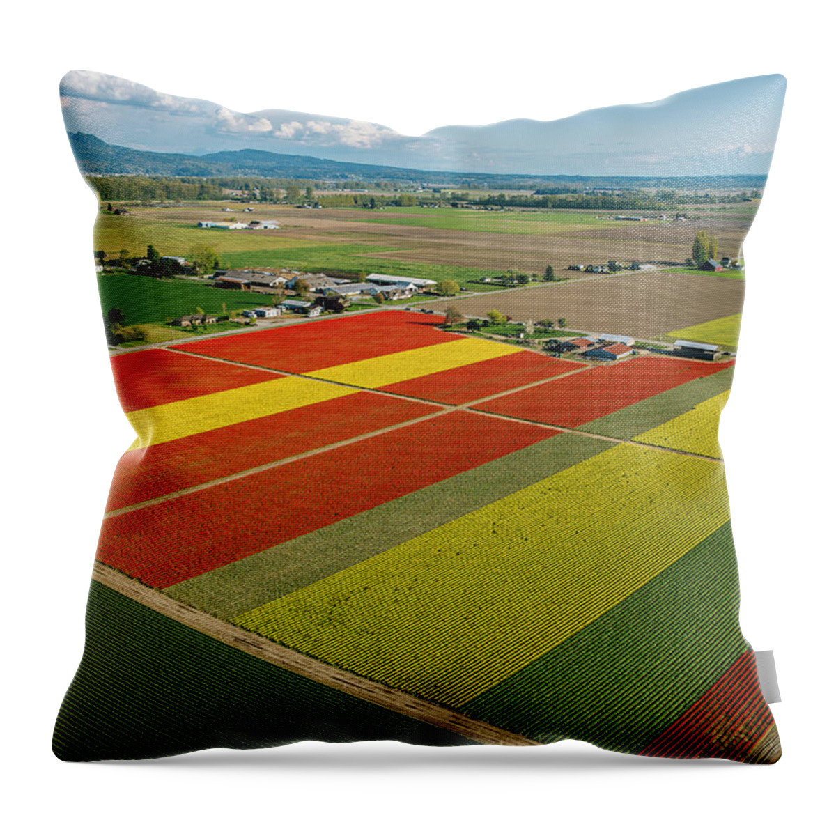 Scenics Throw Pillow featuring the photograph Aerial View Of Colorful Tulip Fields #1 by Pete Saloutos