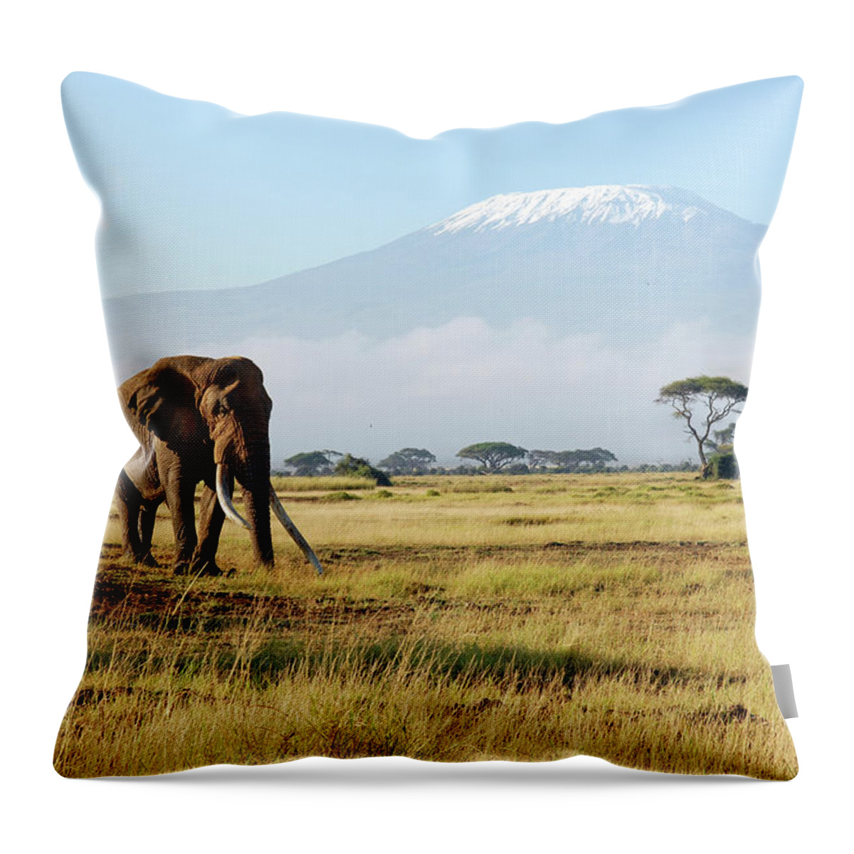 Kenya Throw Pillow featuring the photograph Africa #1 by Oversnap