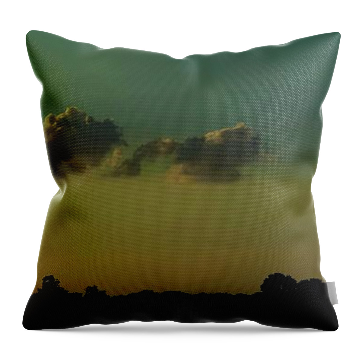  Throw Pillow featuring the photograph All in a Row #1 by Jack Wilson