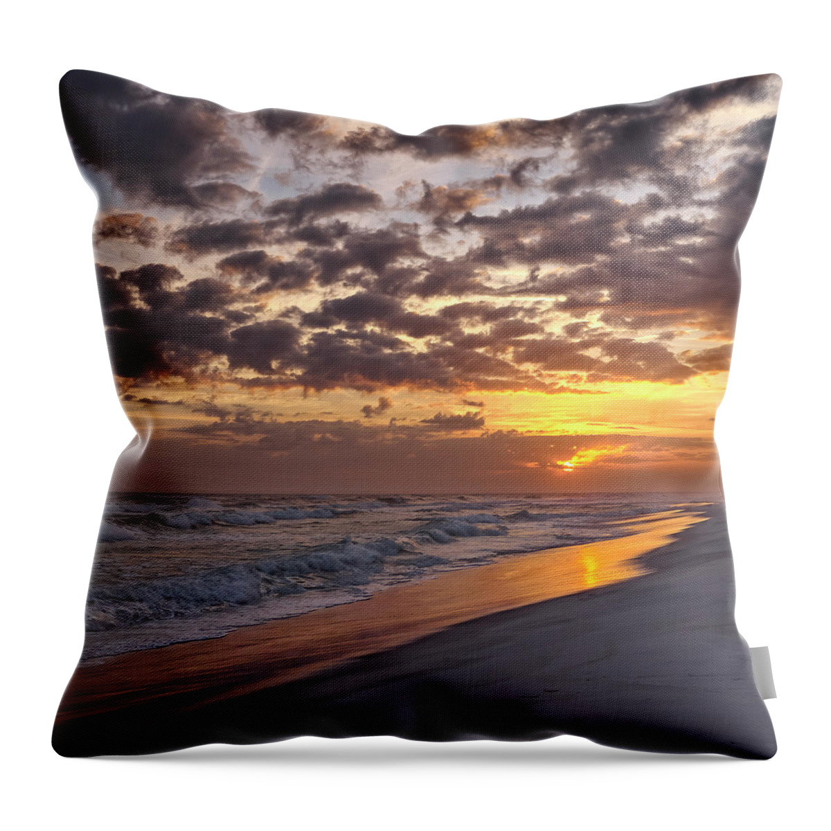 Florida Throw Pillow featuring the photograph Alone #1 by Bill Chambers