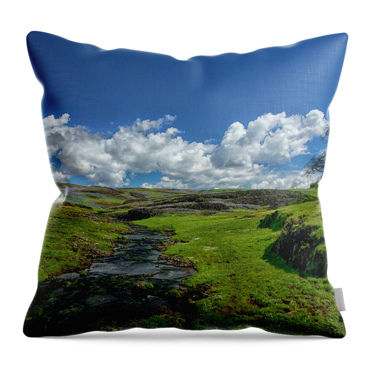 Spring Throw Pillow featuring the photograph And Miles To Go #2 by Tom Kelly