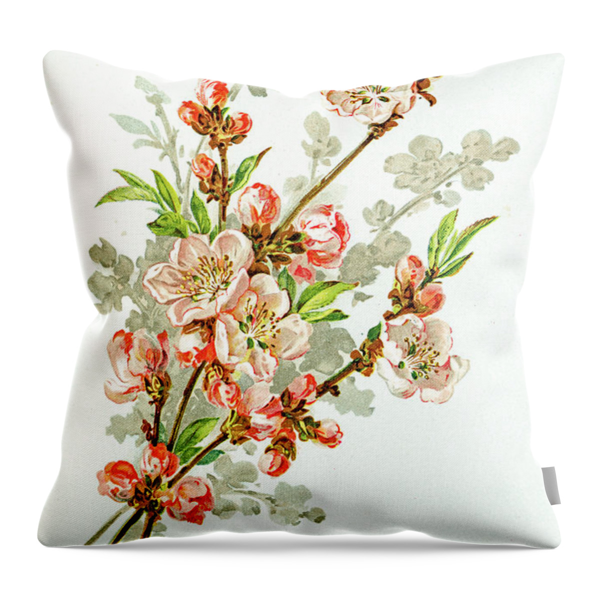 Cherry Throw Pillow featuring the digital art Apple Blossom 19 Century Illustration #1 by Mashuk