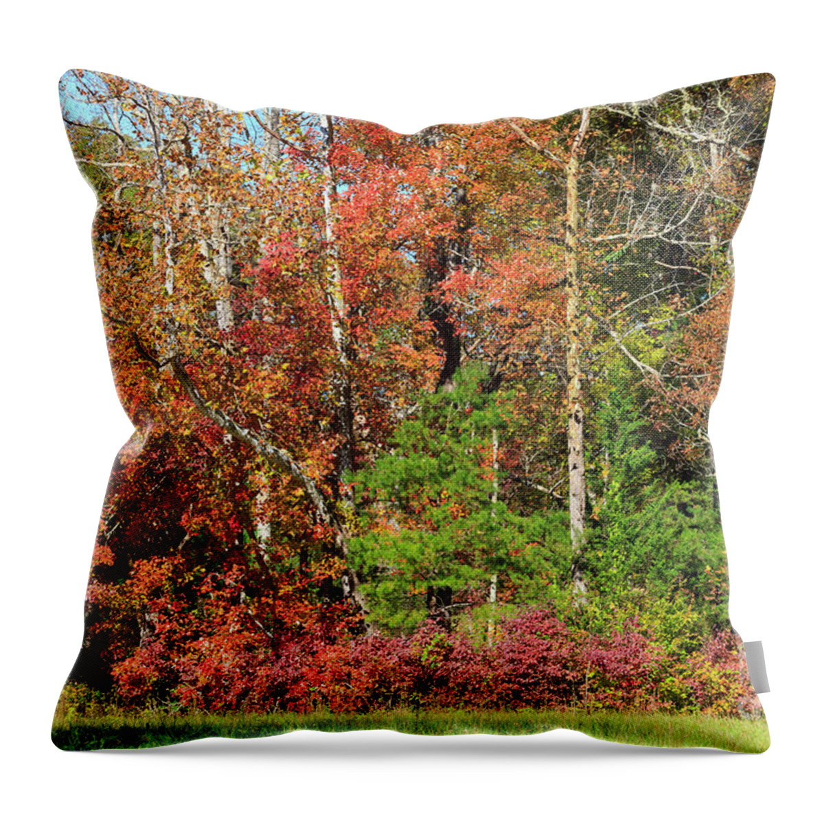 Cades Cove Throw Pillow featuring the photograph Autumn colours in Great Smoky Mountains National Park #1 by Louise Heusinkveld