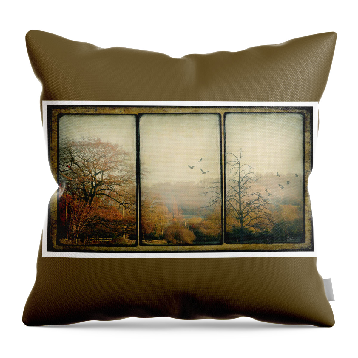 Triptych Throw Pillow featuring the photograph Autumn #1 by Peggy Dietz
