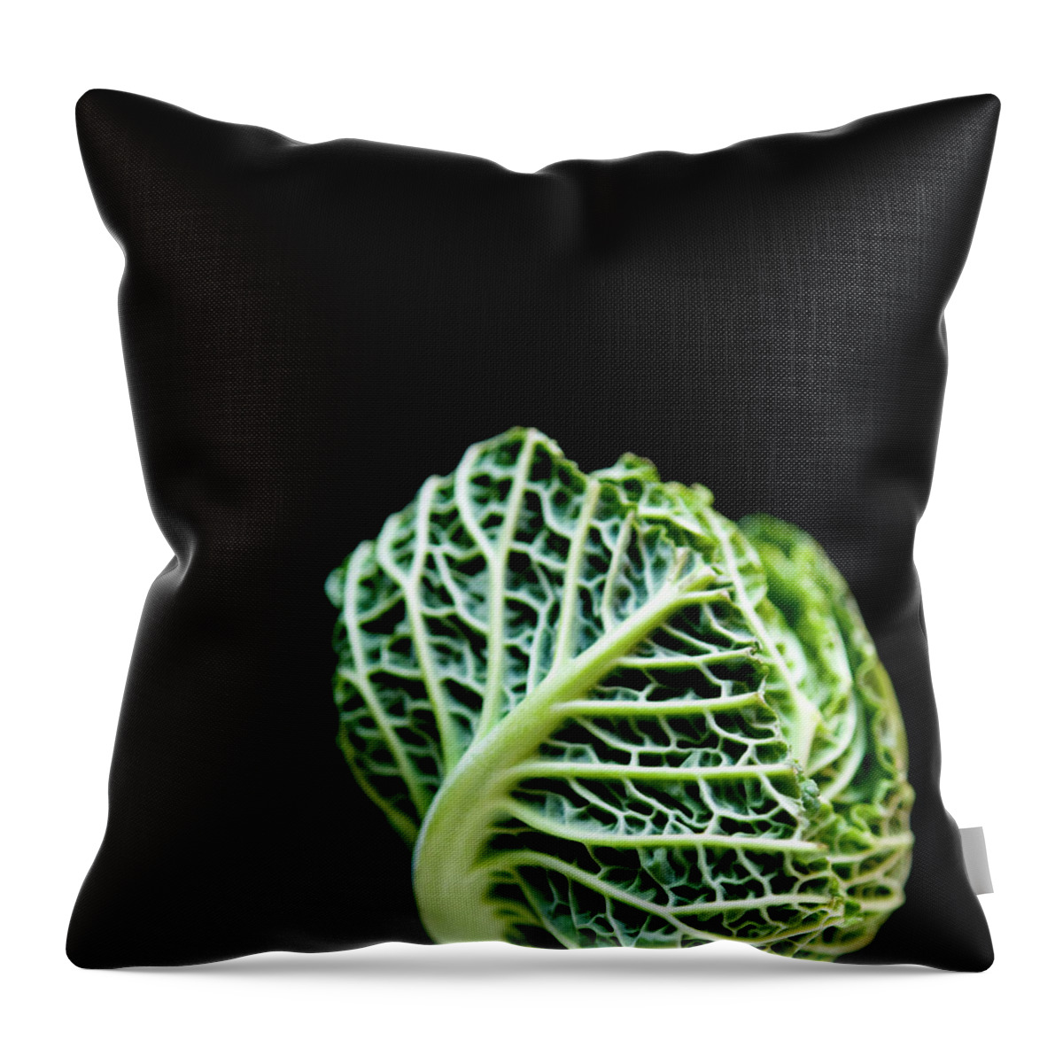 Black Background Throw Pillow featuring the photograph Baby Green Cabbage #1 by Charity Burggraaf