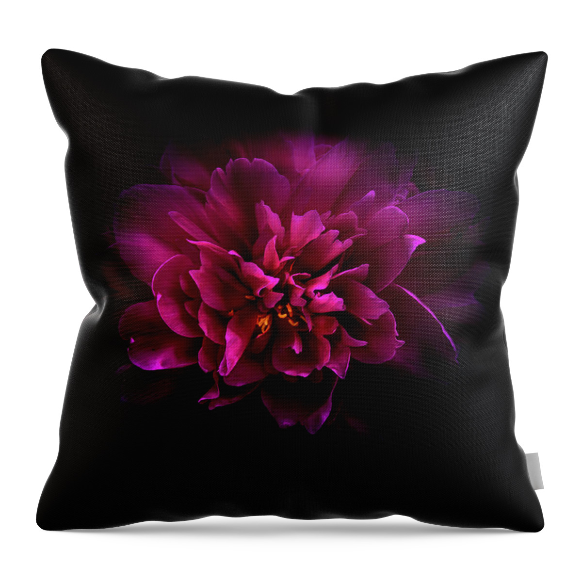 Brian Carson Throw Pillow featuring the photograph Backyard Flowers 55 Color Version #1 by Brian Carson
