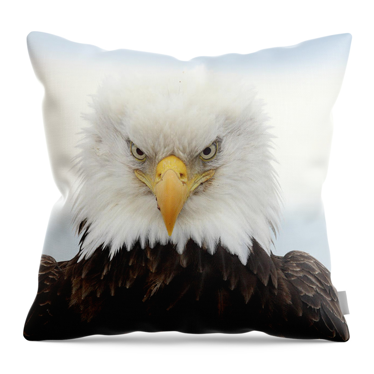 Alertness Throw Pillow featuring the photograph Bald Eagle #1 by P. De Graaf