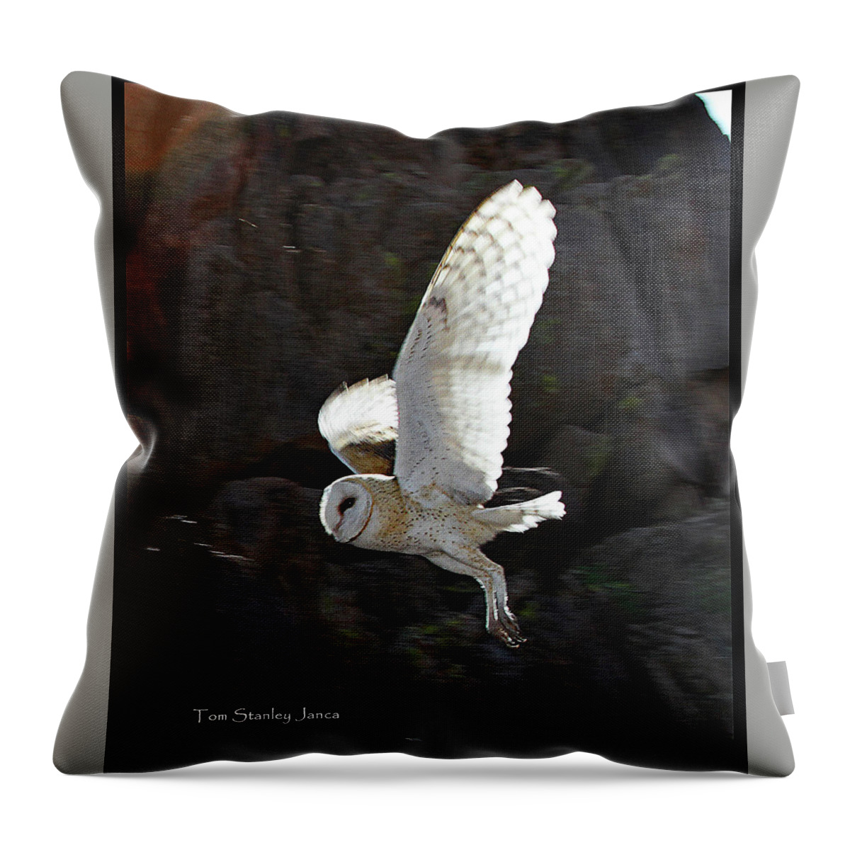 Barn Owl At My Gold Mine Throw Pillow featuring the digital art Barn Owl At My Gold Mine #1 by Tom Janca