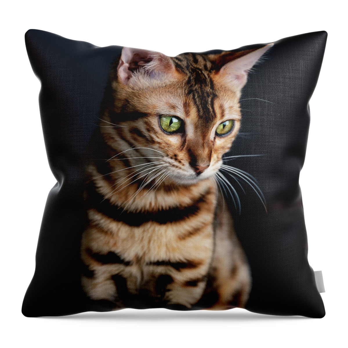 Bengal Throw Pillow featuring the photograph Bengal Cat Portrait #1 by Nailia Schwarz